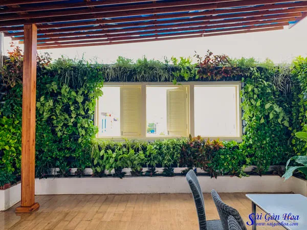 Mô hình tường cây xanh được thiết kế trên sân thượng nhà phố