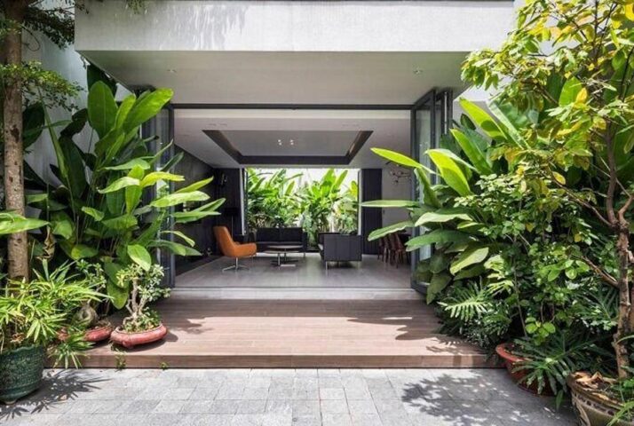 Trước Nhà Nên Trồng Cây Bóng Mát Gì Để Hài Hòa Phong Thủy và Thẩm Mỹ