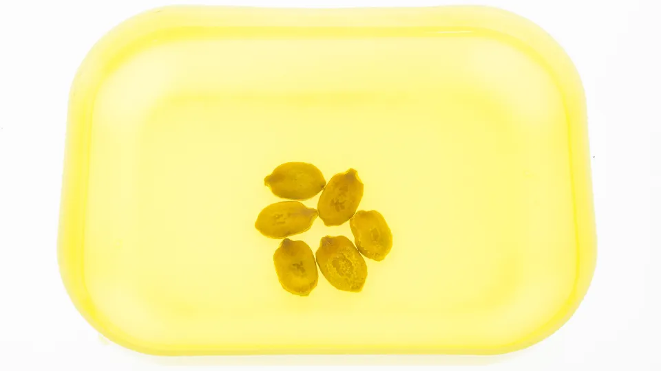 Ngâm hạt khổ qua trong nước ấm 50 độ C từ 3-4 tiếng giúp làm mềm vỏ cứng, tạo điều kiện cho quá trình nảy mầm diễn ra thuận lợi và nhanh chóng hơn.