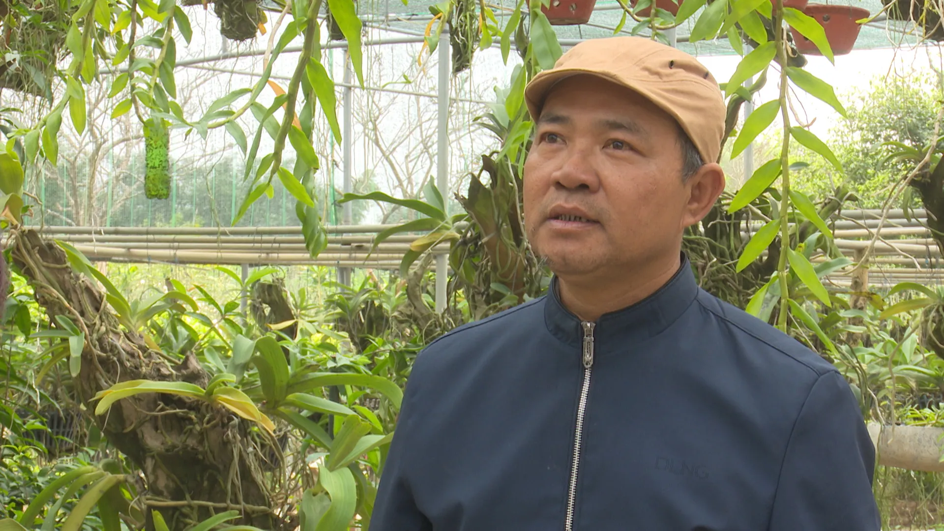 Nghệ nhân sinh vật cảnh ông Hoàng Văn Thiều - xã Bách Thuận, Vũ Thư, chia sẻ bí quyết chăm hoa lan đúng cách