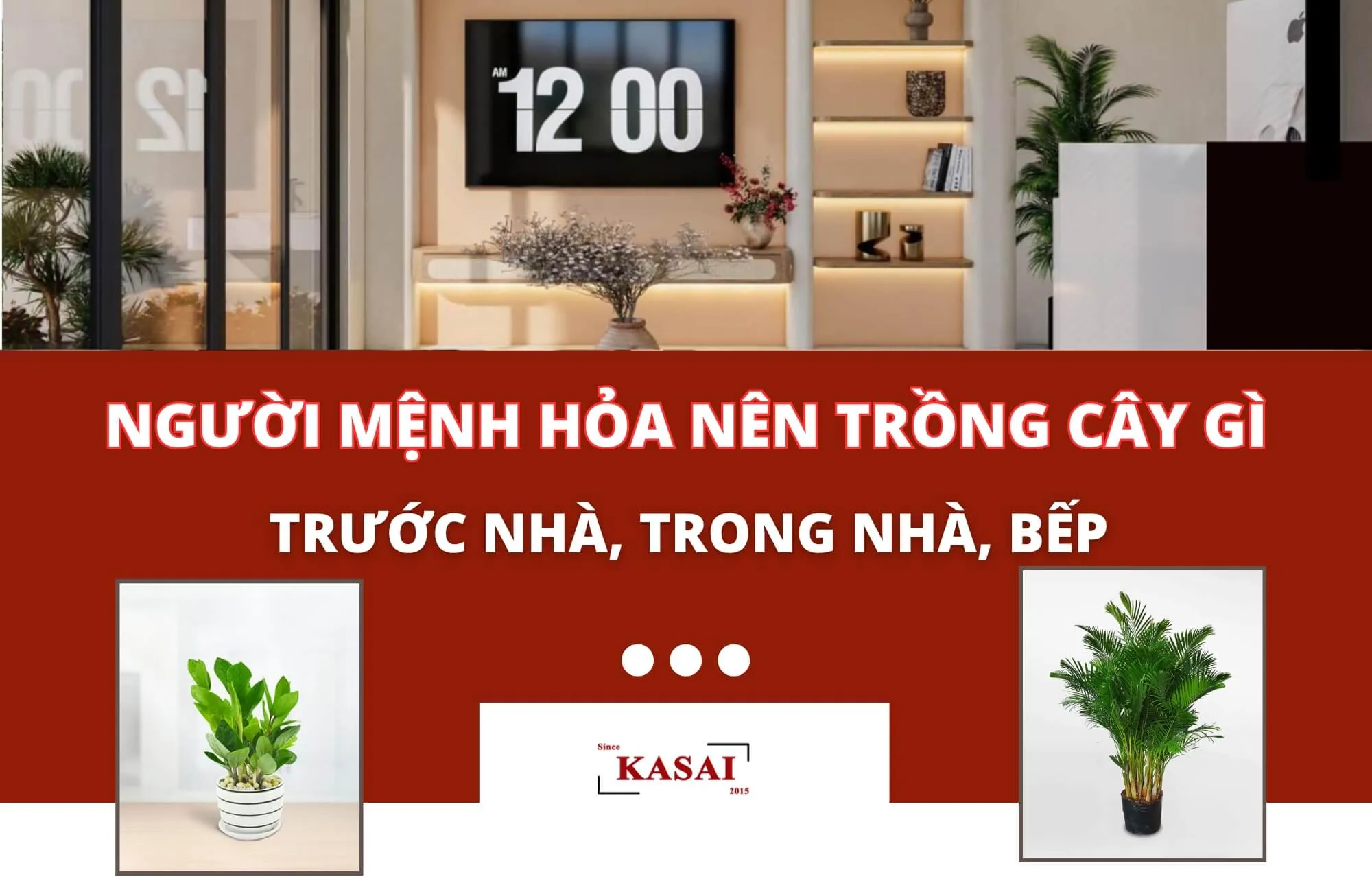 Người mệnh Hỏa nên trồng cây gì trước nhà, trong nhà