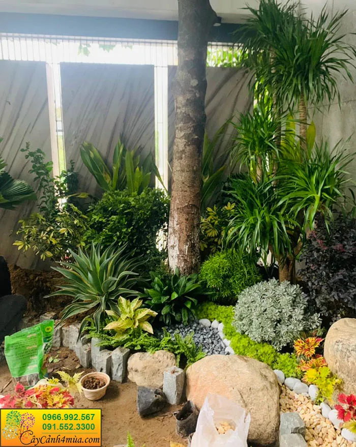 Nguyên tắc bố cục tiểu cảnh sân vườn phong cách Nhật Bản