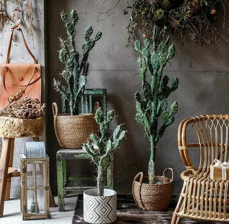 Nhiều chậu Xương Rồng và Sen Đá nhỏ gọn, giải pháp cây cảnh chịu nhiệt tốt cho ban công hứng nắng gắt