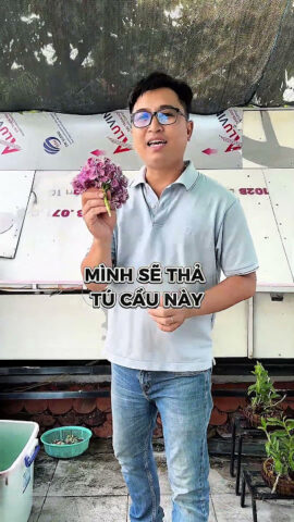 Cách Chăm Sóc Hoa Tươi Lâu: Bí Quyết Chuyên Gia Cho Vẻ Đẹp Vĩnh Cửu