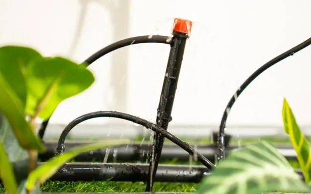 Ống tưới nhỏ giọt DEKKO được ưa chuộng hiện nay