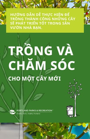 Cách Chăm Sóc Cây Mới Trồng Chi Tiết Theo Từng Giai Đoạn Giúp Cây Phát Triển Bền Vững