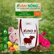 Phân bò ủ vi sinh chuyên dụng cho kỹ thuật trồng cây tùng lá kim