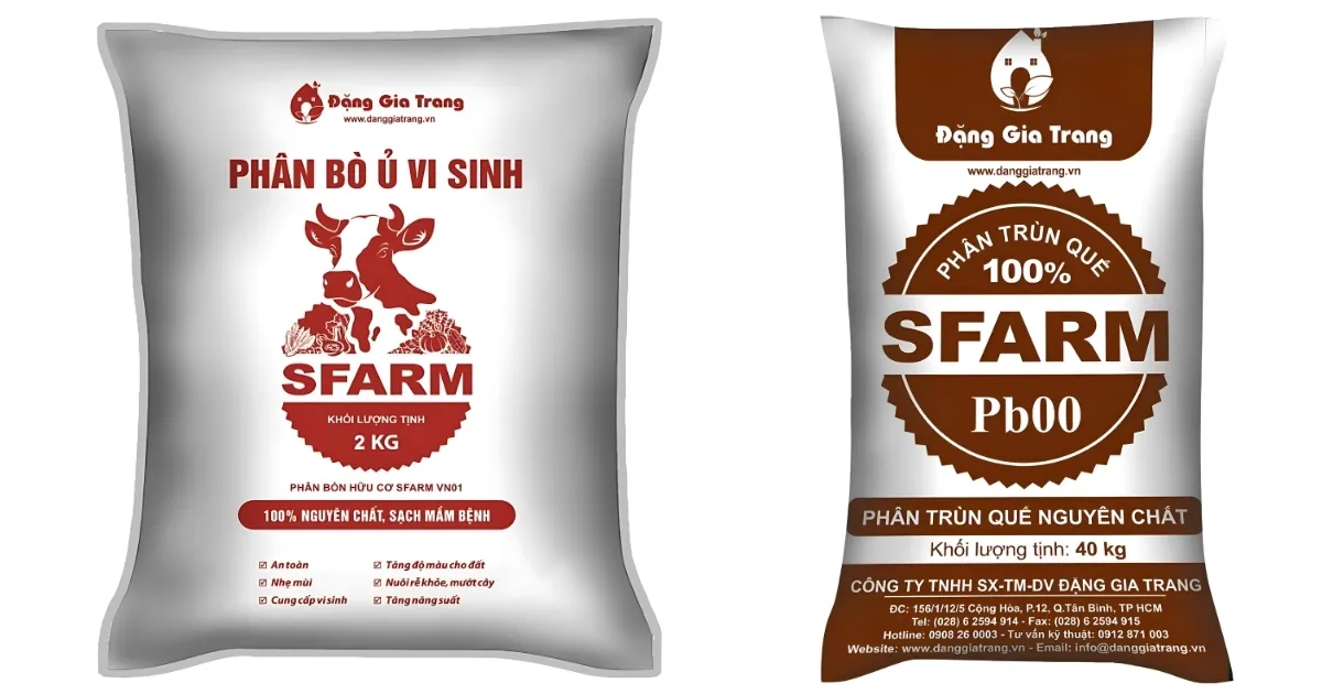 Phân bò và phân trùn quế là hai loại phân hữu cơ hàng đầu cho việc cải tạo đất