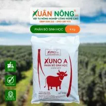 Phân bón sinh học hữu cơ hỗ trợ việc trồng cây tùng lá kim