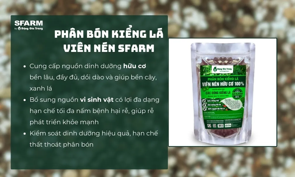Phân hữu cơ như phân trùn quế rất phù hợp để bón thúc cho cây lưỡi hổ.