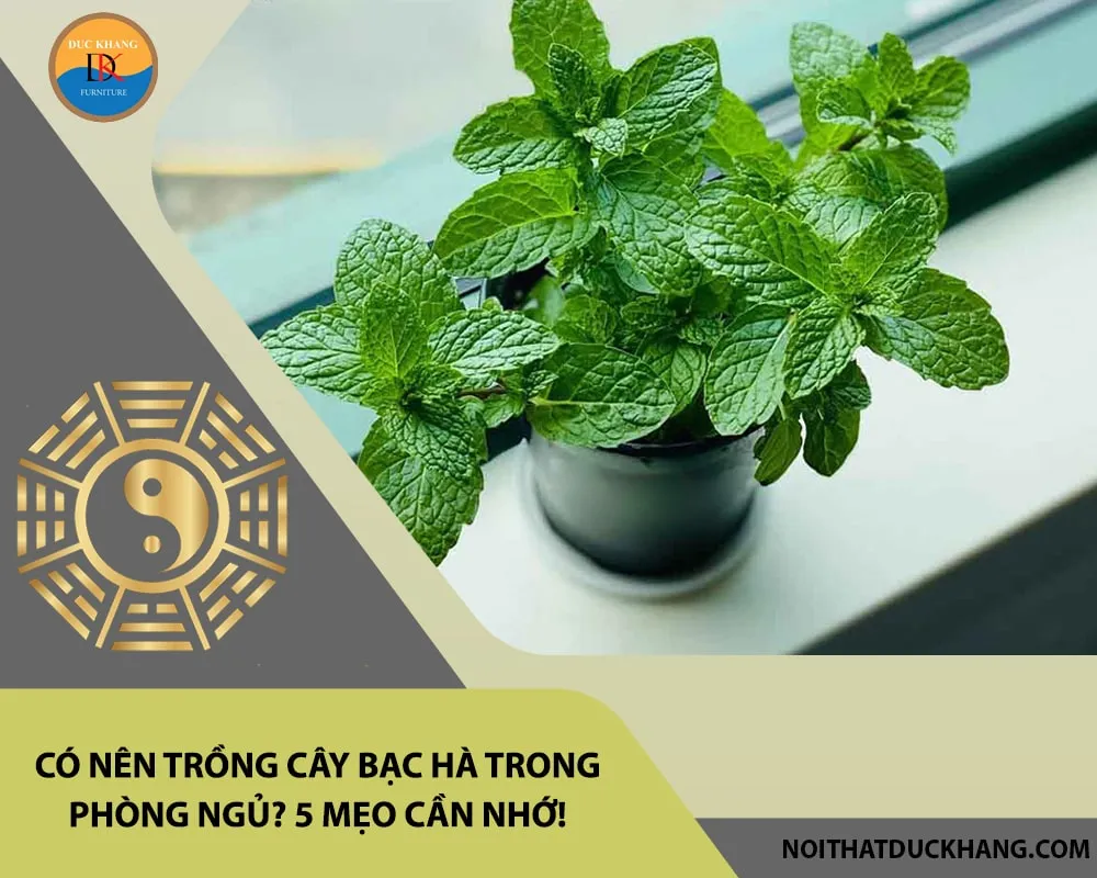 Phong thủy người mệnh Mộc, mệnh Hỏa trồng cây bạc hà