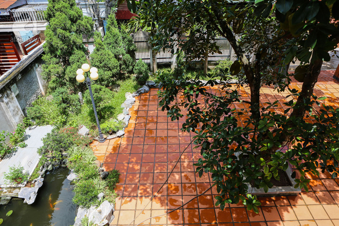 Nên Trồng Cây Ăn Quả Gì Trong Vườn Nhà Để Đón Tài Lộc