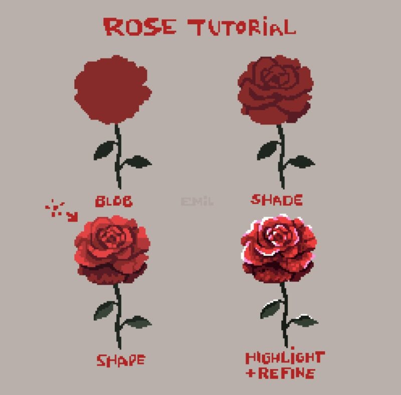 Hướng Dẫn Chi Tiết Cách Trồng Hạt Hoa Sao Nhái Từ A Đến Z Cho Người Mới Bắt Đầu