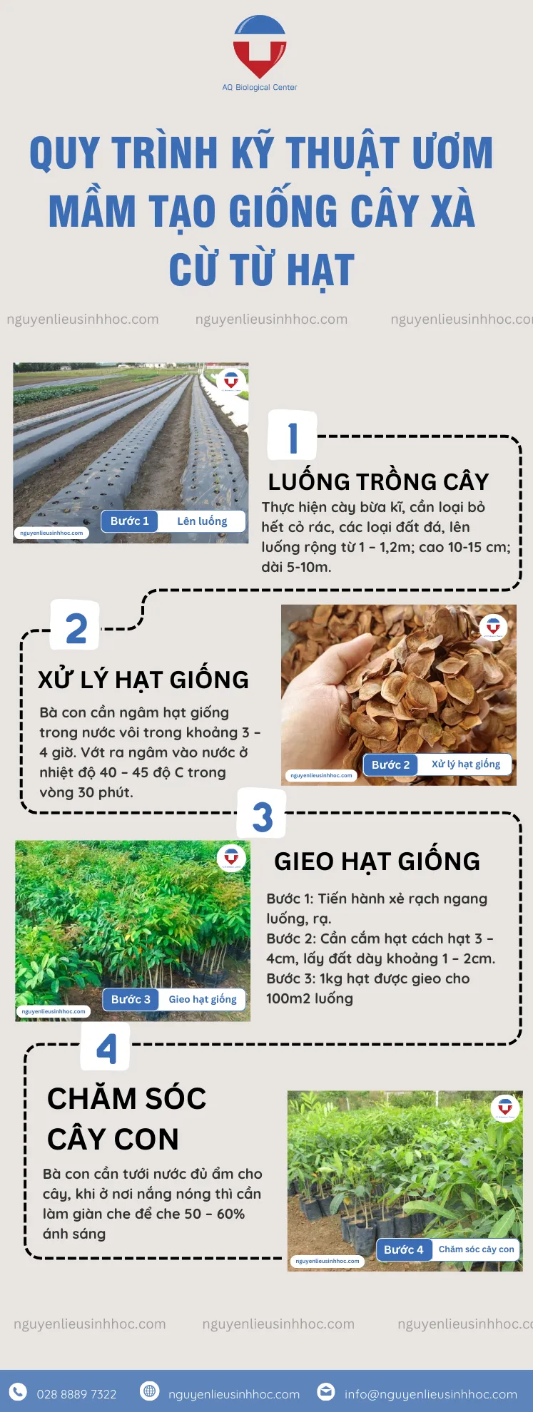 Quy trình kỹ thuật ươm tạo giống cây xà cừ từ hạt giống