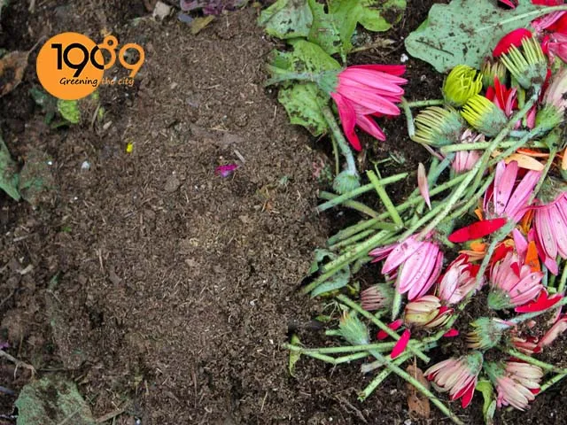 Quy trình ủ đất trồng cây tại nhà hiệu quả cao