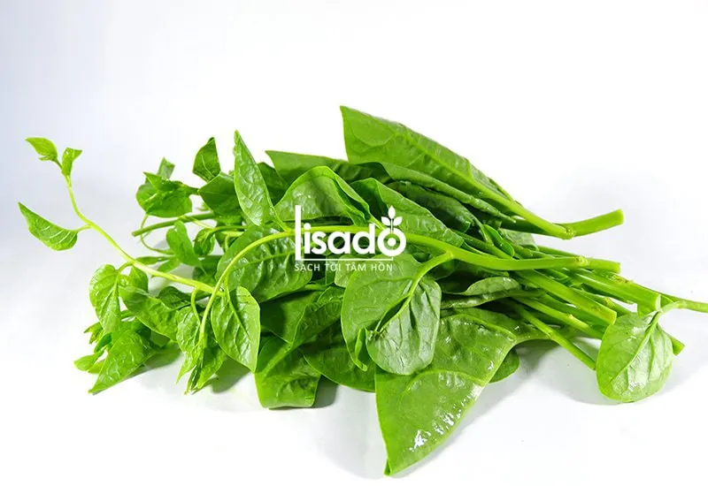 Rau mồng tơi rất dễ trồng