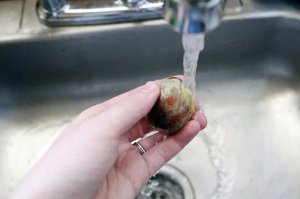 Rửa sạch hạt bơ dưới nước