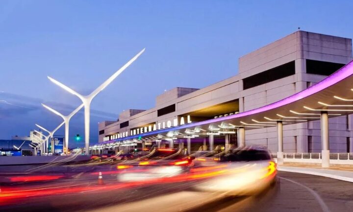 Cách Chăm Sóc Cây Sen Cạn Toàn Diện: Hướng Dẫn Chi Tiết Từ Chuyên Gia