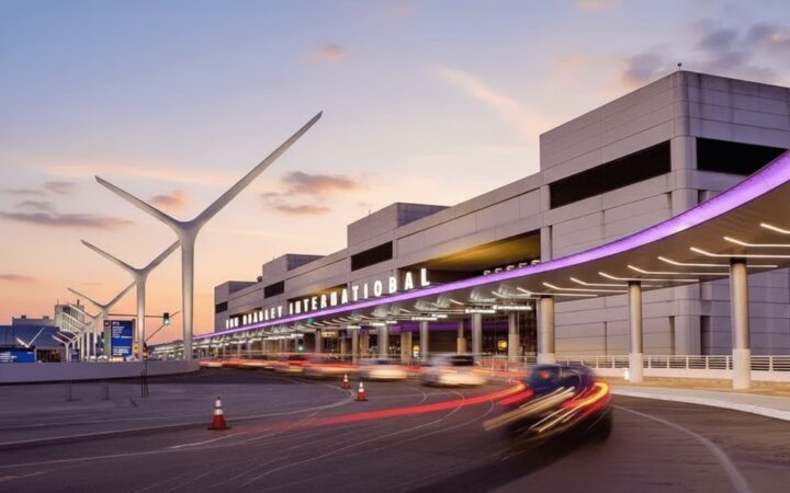 Cách Chăm Cây Kim Tiền Toàn Diện: Kỹ Thuật Chuyên Sâu Từ A-Z