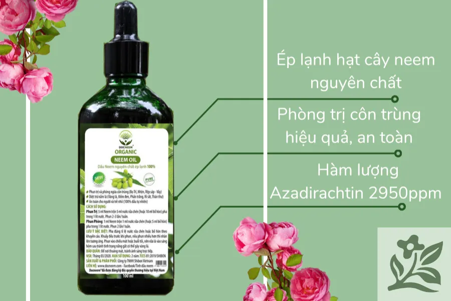 Sản phẩm Dầu Neem hữu cơ, giải pháp hiệu quả cho việc phòng và trị sâu bệnh hoa hồng