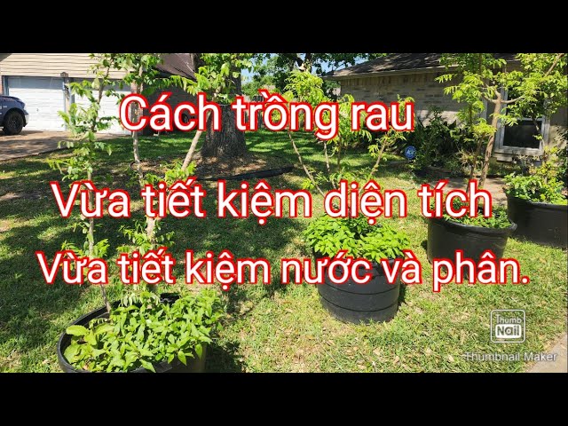 cách Làm Chậu Trồng Hoa Từ Chai Nhựa: Hướng Dẫn Chi Tiết Tạo Vườn Xanh Bền Vững