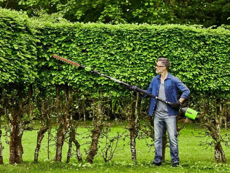 Sử dụng công cụ chuyên dụng để cắt tỉa và tạo hình dáng thẩm mỹ cho hàng rào cây xanh
