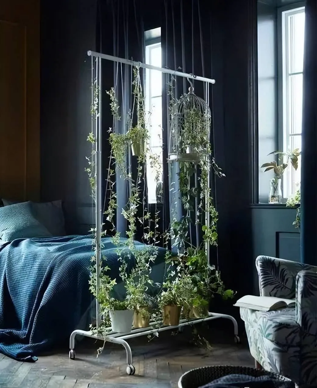 Sử dụng giá treo quần áo kim loại làm khung treo cây cảnh, một giải pháp độc đáo cho nhà chật.