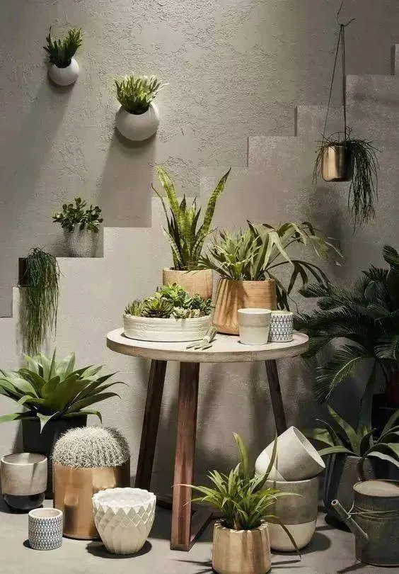 Tận dụng góc phòng để bài trí cây cảnh, tạo nên một khu vực xanh mát ngay cả trong căn hộ chật hẹp.