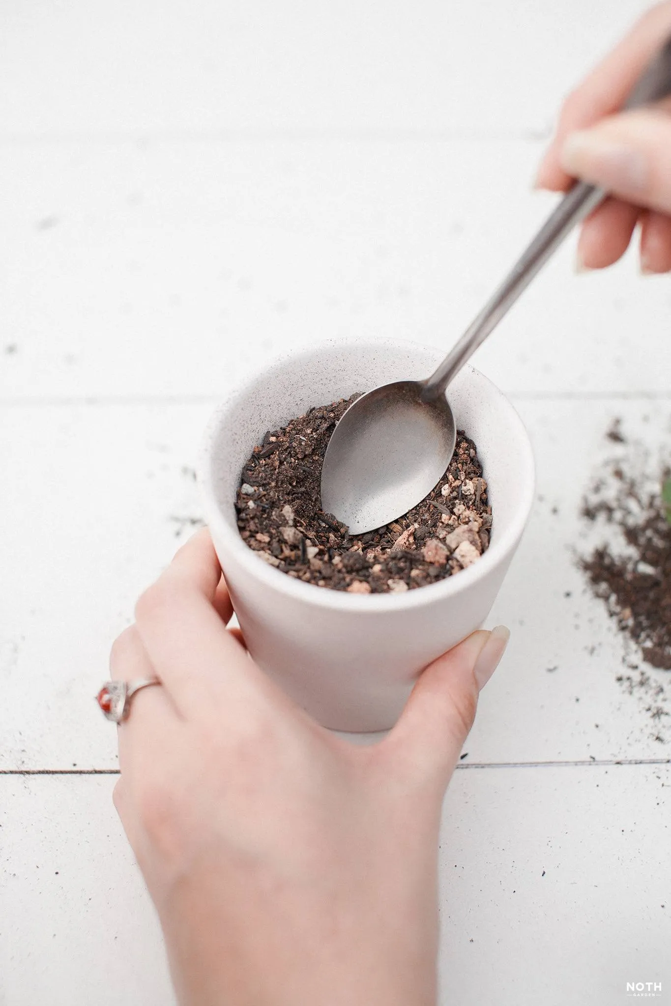 Tạo trũng nhỏ trên bề mặt giá thể để đặt rễ cây vào