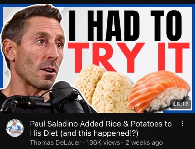 Có Nên Trồng Cây Đa Búp Đỏ Trong Nhà: Phân Tích Lợi Ích Và Kỹ Thuật Chuyên Sâu