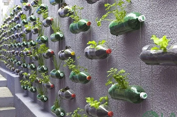 Thiết kế treo ngang tạo nên một bức tường sinh thái