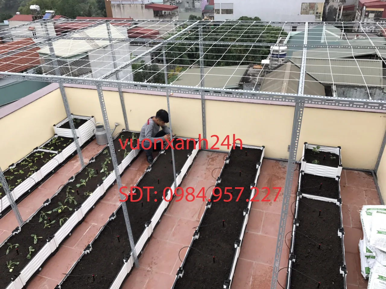 Thiết kế và thi công giàn trồng cây leo khung sắt V chất lượng cao