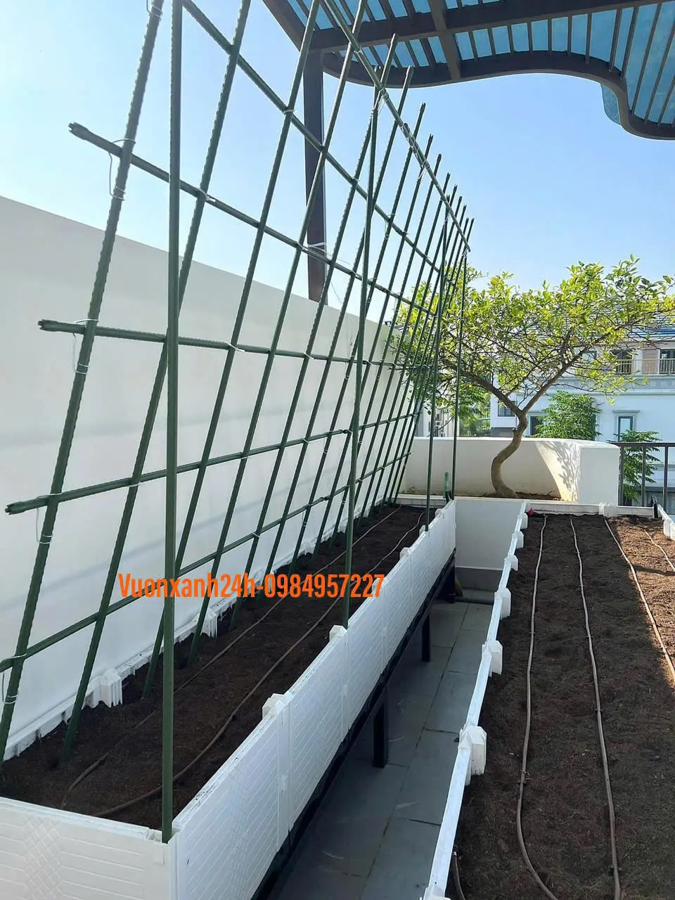 Thiết lập giàn trồng cây leo sử dụng que cắm lõi thép bọc nhựa