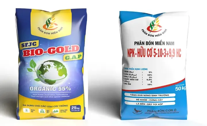 Thu hoạch và bảo quản quả nho rừng đạt chất lượng cao