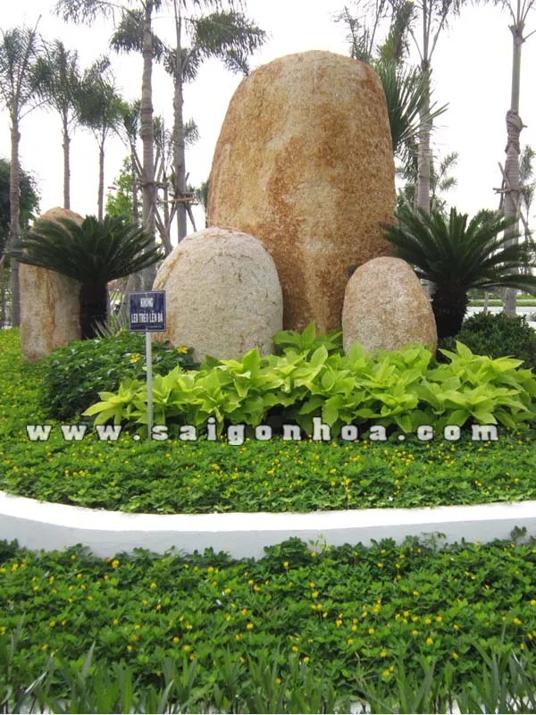 Tiểu cảnh trang trí bởi Sài gòn hoa