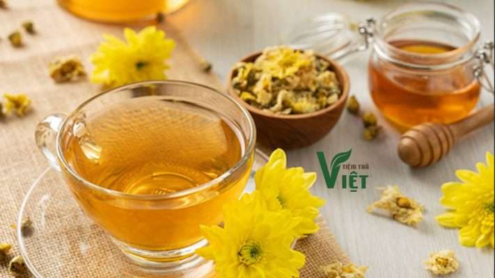 Cách Trồng Cây Sen Đá Trong Nhà: Hướng Dẫn Chi Tiết Để Cây Luôn Khỏe Mạnh Và Lên Màu Đẹp