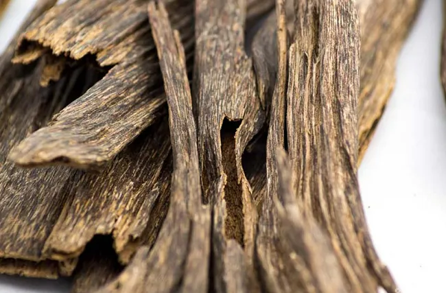 Trầm hương là sản vật quý hiếm, đắt giá và mang lại giá trị cao