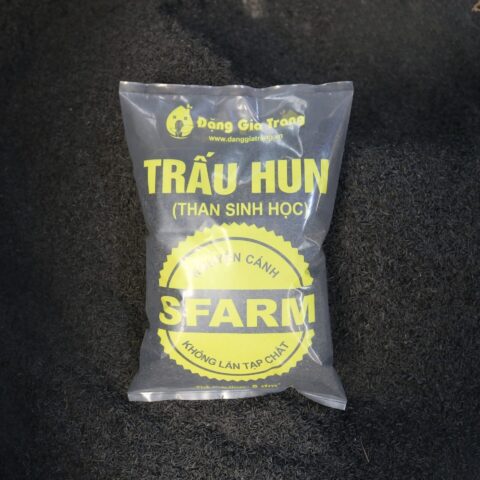 Cách Hun Trấu Trồng Cây Chuẩn Kỹ Thuật: Hướng Dẫn Chi Tiết Cho Người Yêu Bonsai