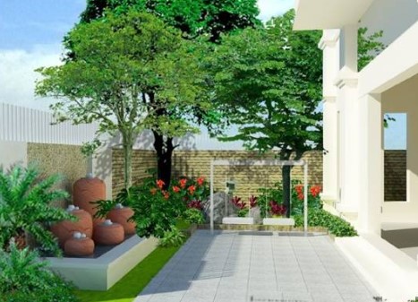 Sau Nhà Nên Trồng Cây Gì Phù Hợp Phong Thủy Và Đem Lại Tài Lộc