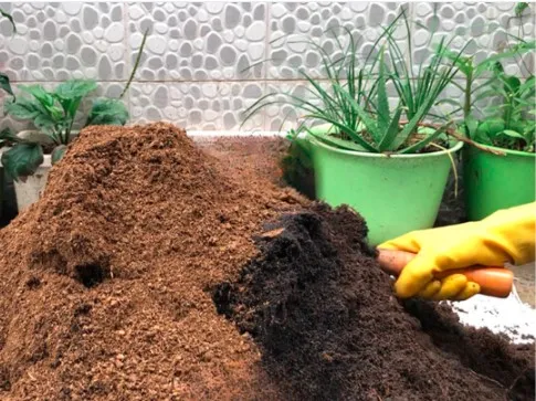 Trộn đất trồng cây