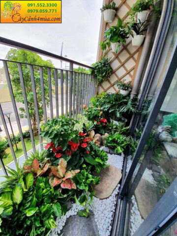 Ban Công Chung Cư Nên Trồng Cây Gì: Hướng Dẫn Chi Tiết Toàn Diện