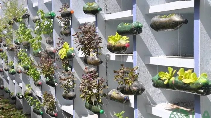 Trồng cây cảnh trang trí tạo nên điểm nhấn cho ngôi nhà