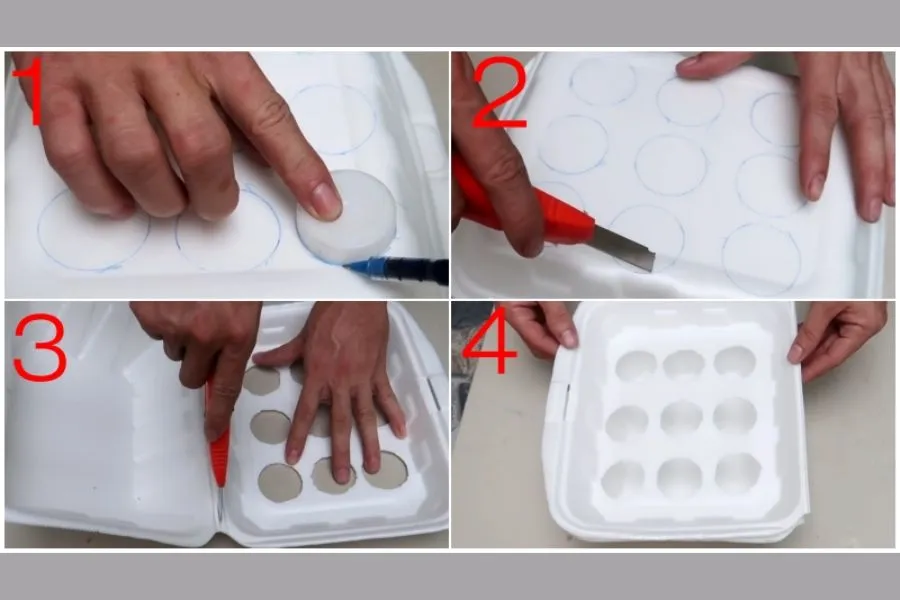 Trồng cây hành lá bằng củ tím trong hộp xốp với kỹ thuật bán thủy canh