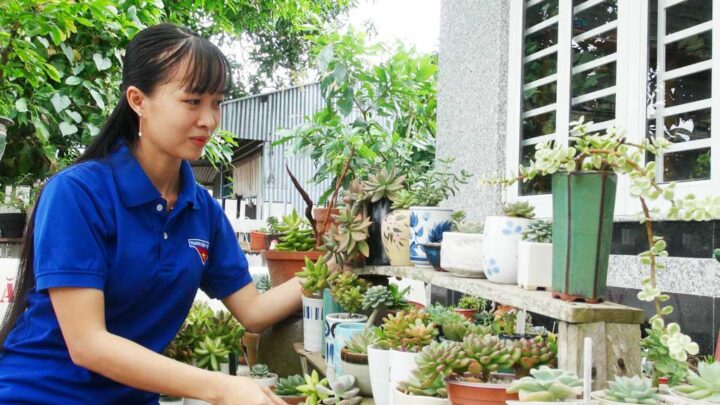 Cách Trồng Các Loại Cây Thành Công: Từ Cây Cảnh Đến Cây Rau