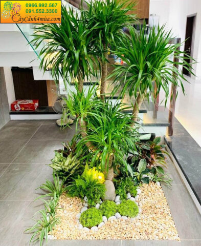 Cách Trồng Các Loại Cây Thành Công: Từ Cây Cảnh Đến Cây Rau