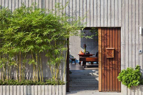 Những Loại Cây Nên Trồng Trước Cửa Nhà Hợp Phong Thủy Và Thu Hút Tài Lộc Vượng Khí