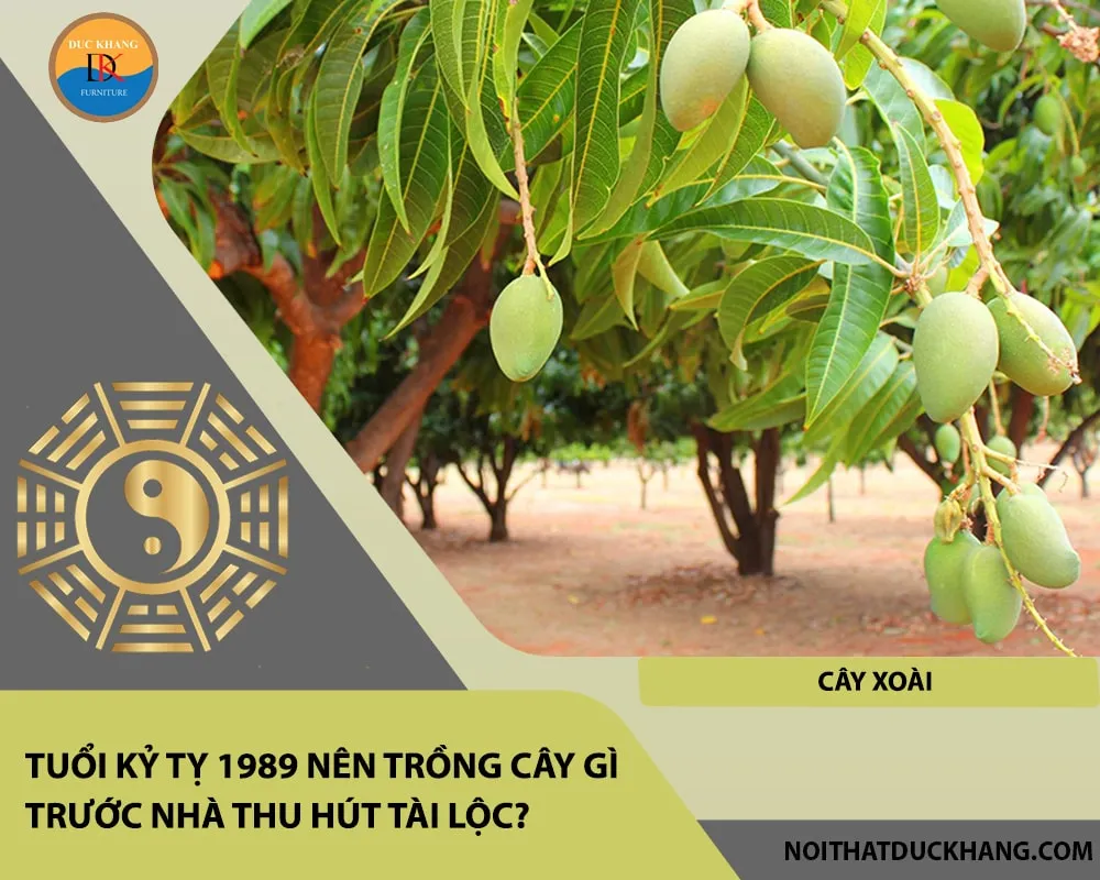 Tuổi Kỷ Tỵ 1989 nên trồng cây gì trước nhà thu hút tài lộc - Cây xoài