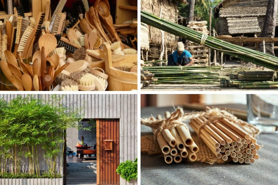 Ứng dụng của cây trúc trong đời sống: Làm đồ dùng gia dụng, trang trí nhà cửa,...