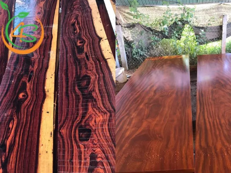 Ứng dụng của gỗ cây trồng chất lượng cao trong sản xuất đồ nội thất