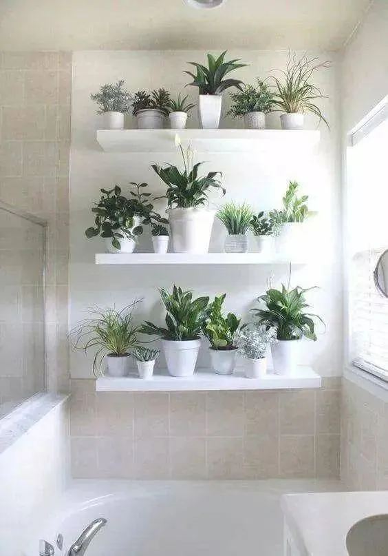 Ứng dụng giá đỡ treo tường để trồng cây cảnh chịu ẩm trong không gian phòng tắm.